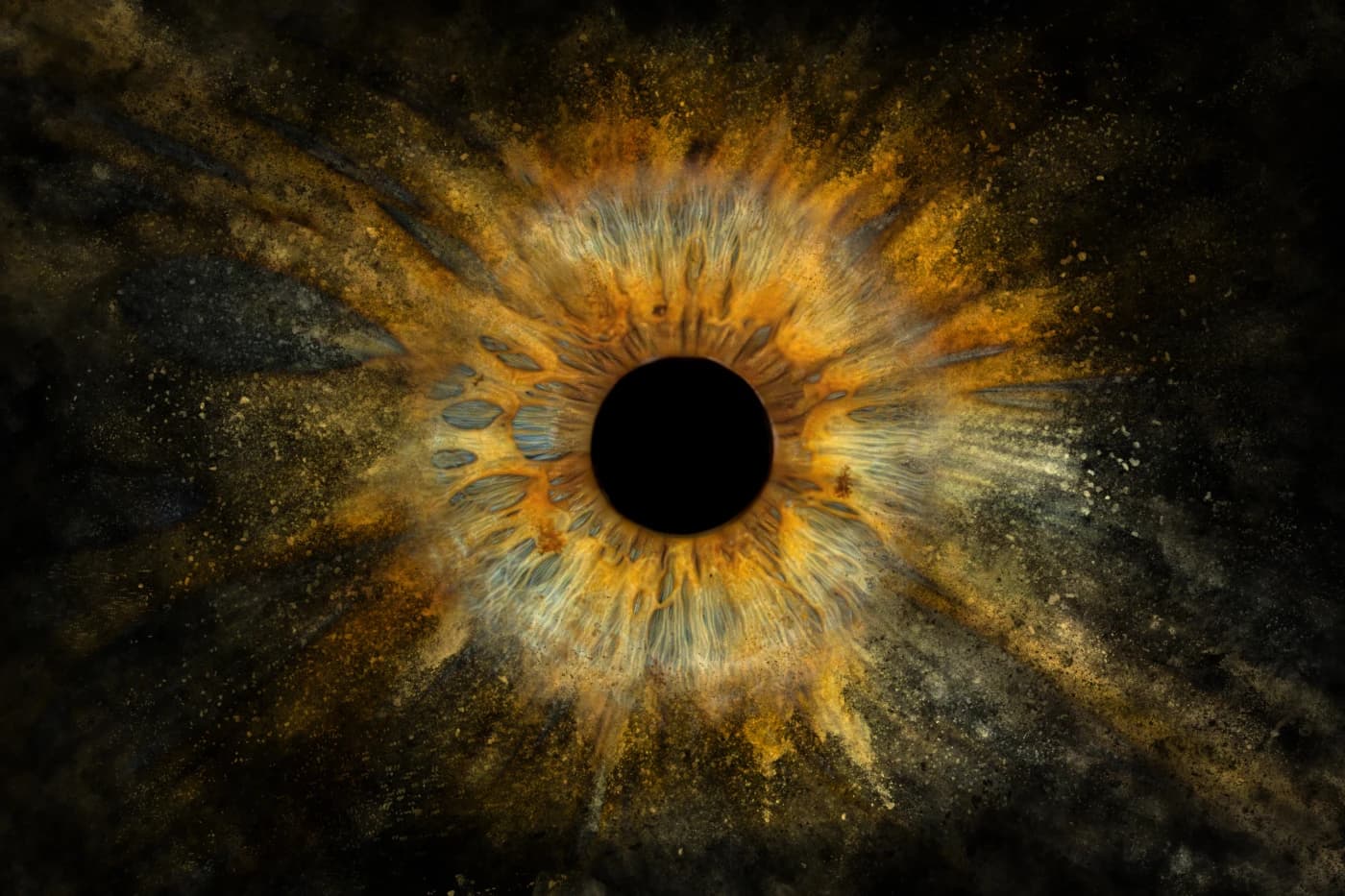 IRIS fotografie duhovky – detail