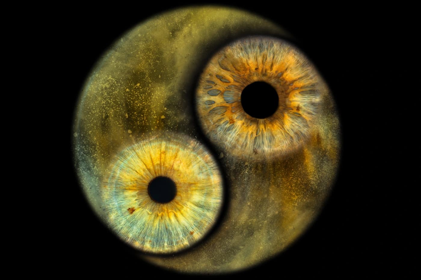 IRIS fotografie oční duhovky – Miroslav Jurka